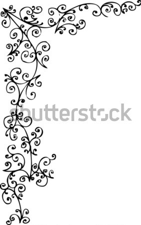 Virágmintás dísz dekoratív minta eps8 textúra Stock fotó © Glasaigh