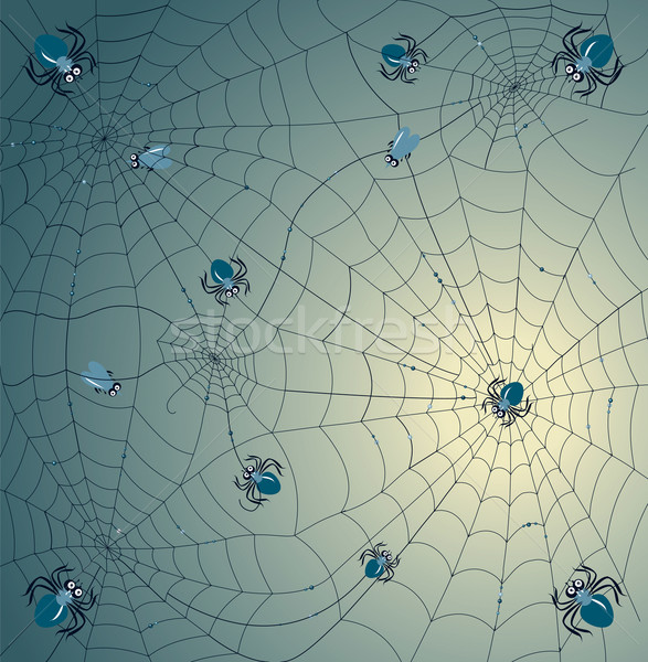 Zdjęcia stock: Internetowych · kolor · jasne · dekoracyjny · bezpieczeństwa · pająk