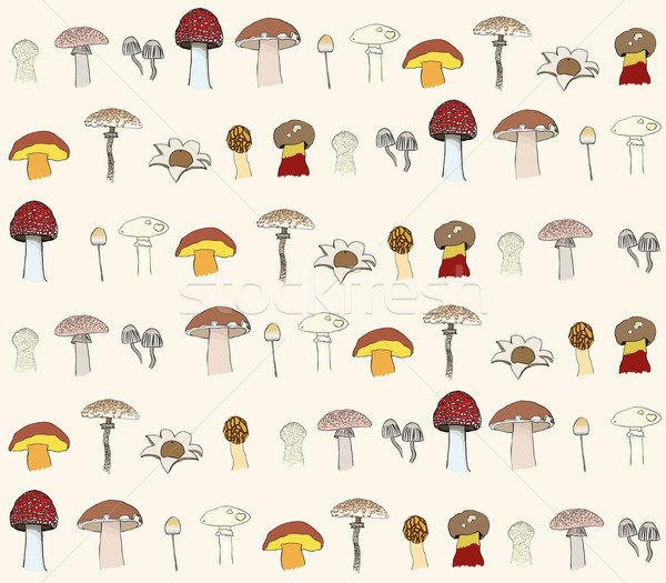 seamless mushrooms pattern Stock photo © glorcza