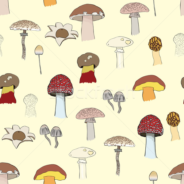 mushrooms pattern Stock photo © glorcza