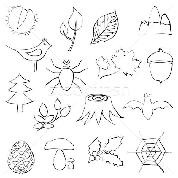 forest doodle images Stock photo © glorcza