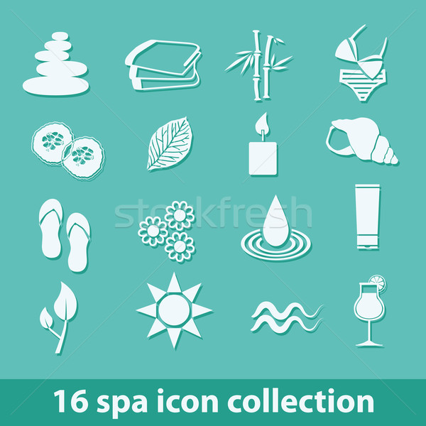 Spa iconen 16 collectie bloem water Stockfoto © glorcza