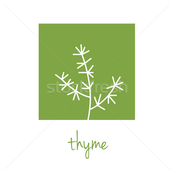 thyme icon on green square Stock photo © glorcza