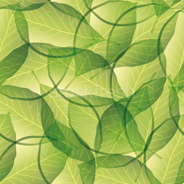 leaf seamless pattern Stock photo © glorcza