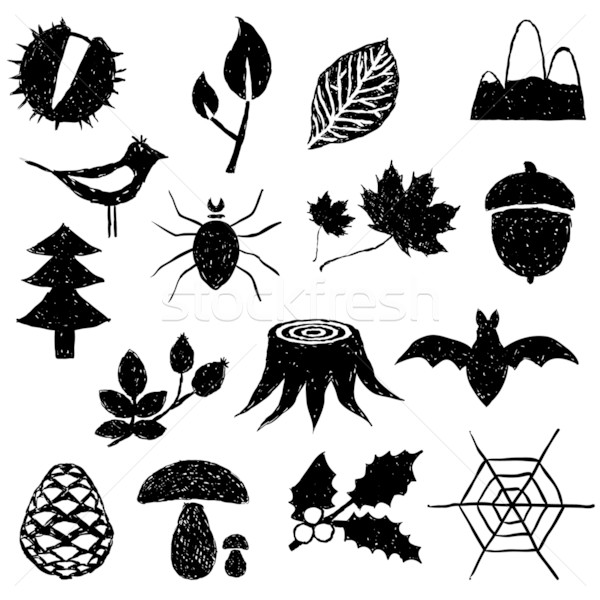 forest doodle images Stock photo © glorcza