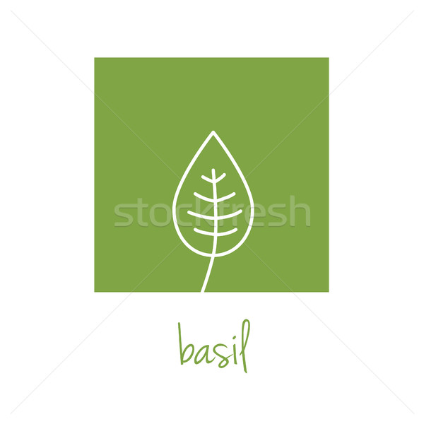 basil icon on green square Stock photo © glorcza