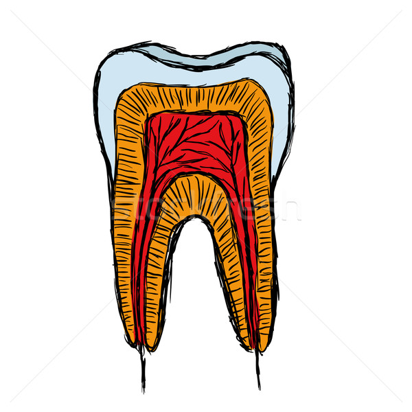 Doodle dente medico medici salute arancione Foto d'archivio © glorcza