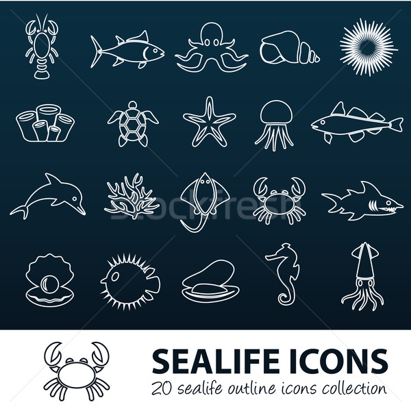 sealife outline icons Stock photo © glorcza