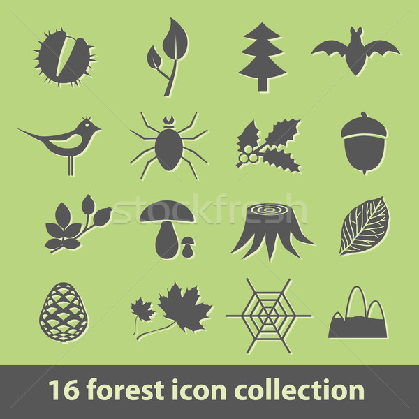 forest icons Stock photo © glorcza