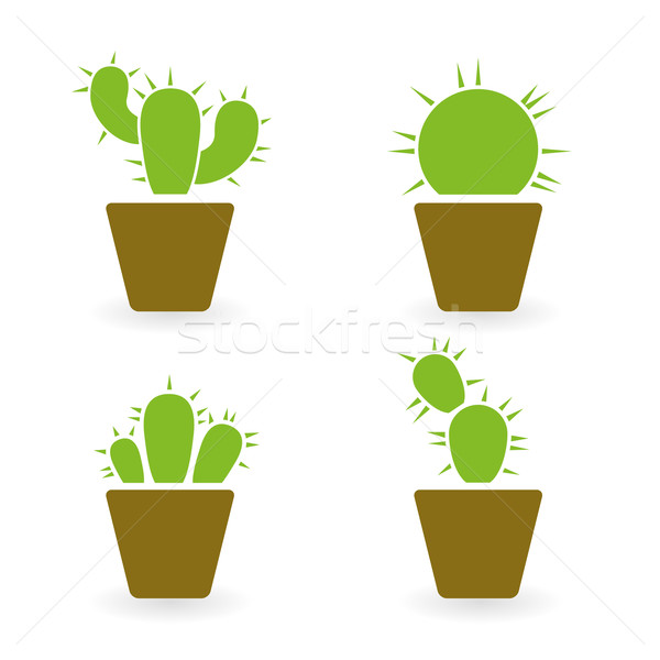 Cactus colectie proiect grădină plantă informaţii Imagine de stoc © glorcza