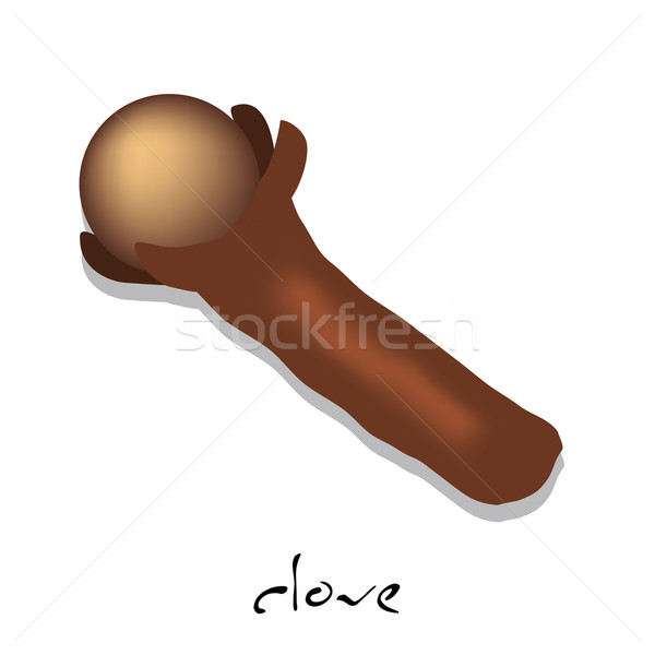 spice: clove Stock photo © glorcza
