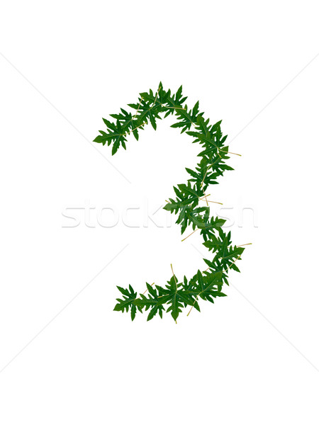 Number 3  of green leaves Stock photo © Gloszilla
