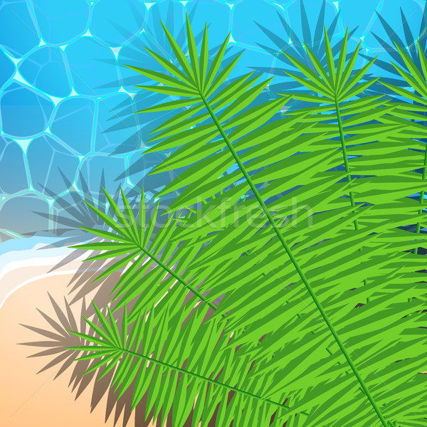Stok fotoğraf: Yaz · örnek · okyanus · plaj · palmiye · yaprağı · vektör