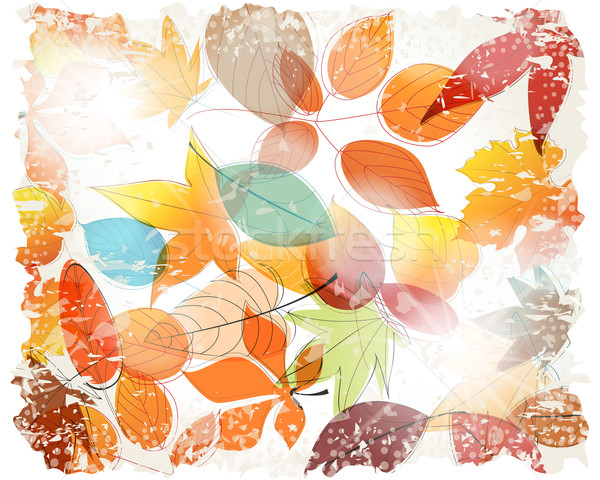 Foto stock: Vintage · colorido · hojas · de · otoño · ilustración · vector · dibujado · a · mano