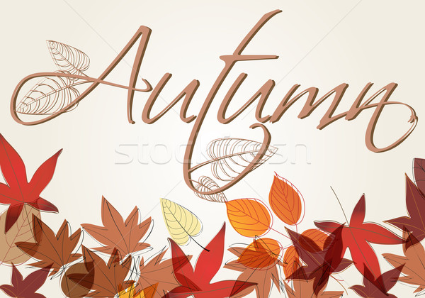 Színes őszi levelek illusztráció vektor aranyos kézzel rajzolt Stock fotó © glyph