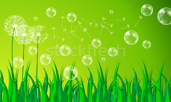 Beautiful summer meadow with dandelions Stock photo © glyph