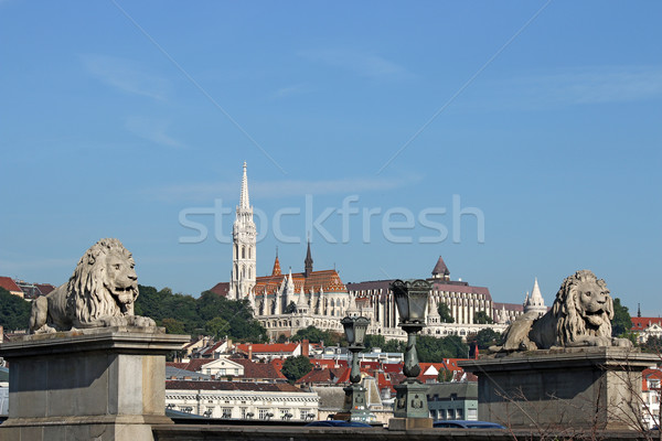 chain bridge lion statue and Fisherman bastion Budapest Stock photo © goce