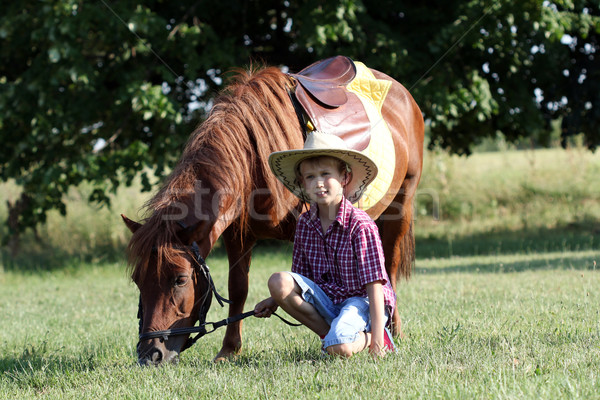 Pónei cavalo animal de estimação criança campo Foto stock © goce