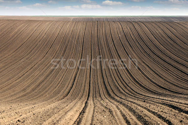 plowed field  country landscape spring season  Stock photo © goce