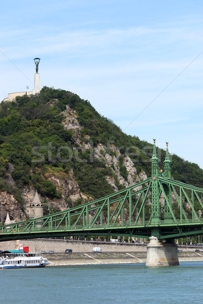 Liberty bridge and monument on hill Budapest Hungary Stock photo © goce