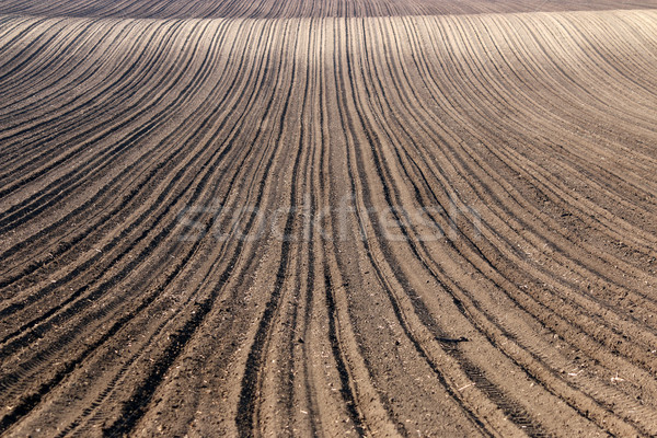 plowed field nature background agriculture Stock photo © goce