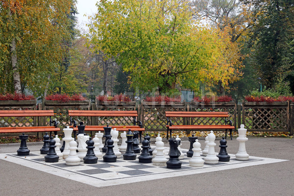 chess figures in park autumn  Stock photo © goce