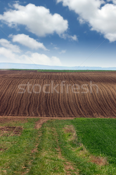 brown and green plowed field landscape  Stock photo © goce