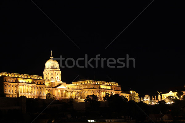 Stockfoto: Verlicht · Boedapest · koninklijk · kasteel · nacht · gebouw