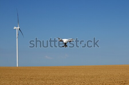 drone flying over golden wheat field  Stock photo © goce