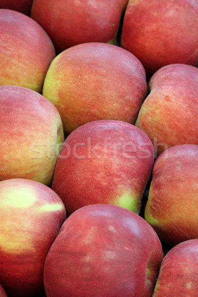ストックフォト: 新鮮な · 赤いリンゴ · 自然 · 食品 · フルーツ · 秋