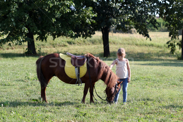 Pónei cavalo little girl menina campo verde Foto stock © goce