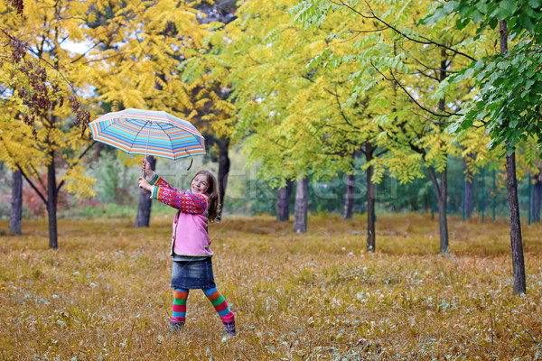 Stock fotó: Boldog · kislány · ősz · park · lány · erdő