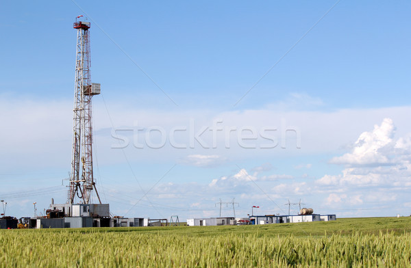 field with oil drilling rig Stock photo © goce