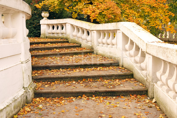 staircase with fallen leaves autumn season Stock photo © goce