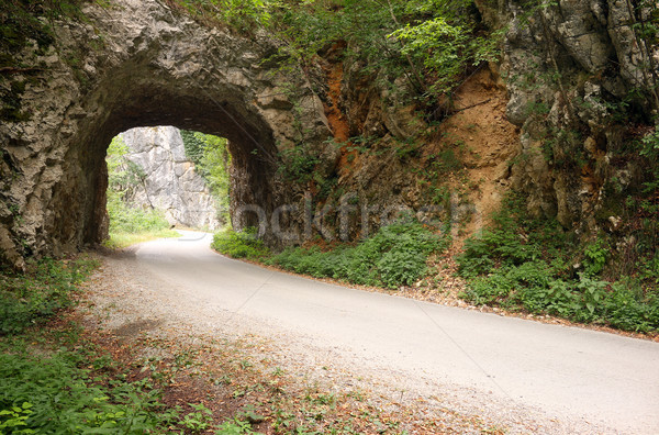 the mountain road passes through a stone tunnel landscape Stock photo © goce