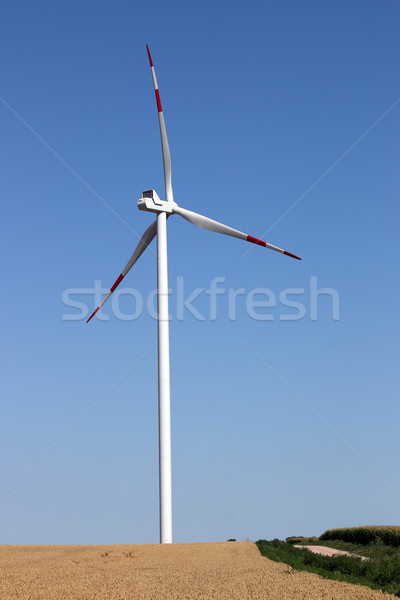 Bereich erneuerbare Energien Natur Technologie grünen Stock foto © goce