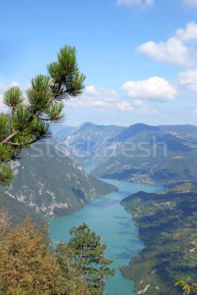 Banjska stena Tara mountain viewpoint Stock photo © goce