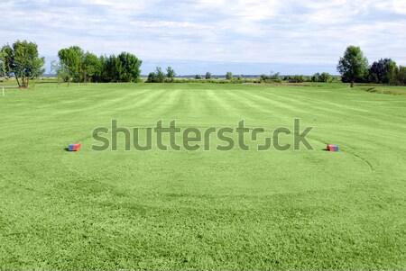 golf green field tee area Stock photo © goce