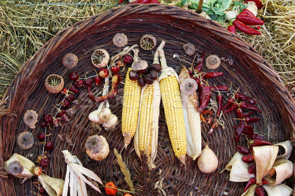 Temporada de otoño país escena granja maíz otono Foto stock © goce