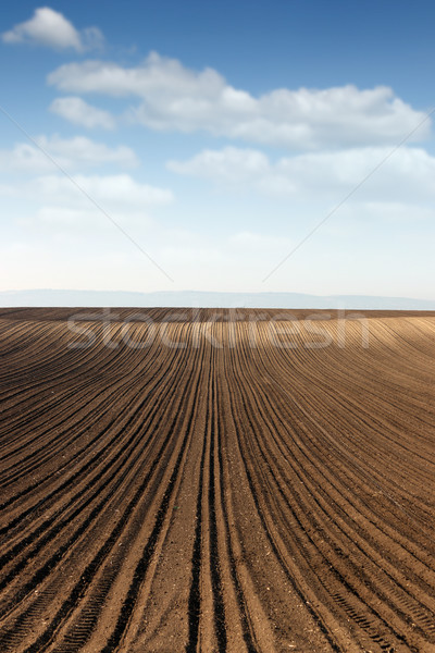 plowed field landscape spring season agriculture Stock photo © goce