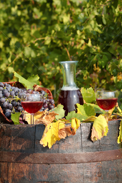 Vignoble vin rouge feuille verre vert raisins [[stock_photo]] © goce