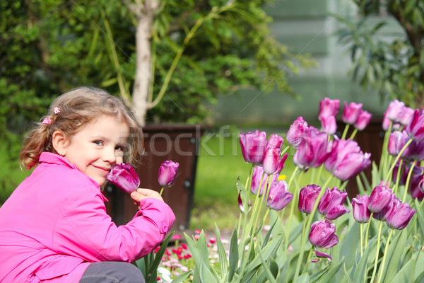 Stok fotoğraf: Küçük · kız · koku · lâle · çiçek · doğa · çocuk