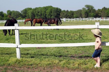 Fericit fetita cowboy palarie ranch fată câmp Imagine de stoc © goce