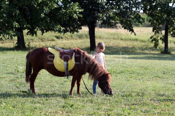 Сток-фото: красивой · девочку · пони · лошади · области · природы