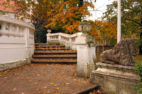 Stock foto: Stein · Treppe · Blätter · Park · Herbstsaison · Natur