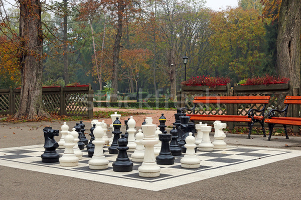 chess figures in autumn park Stock photo © goce