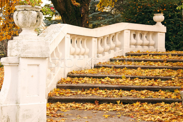 Stone staircase with fallen leaves autumn season Stock photo © goce