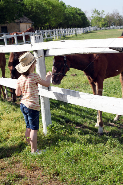 little girl with horses farm scene Stock photo © goce
