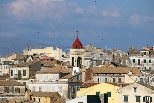 swallow flying over Corfu town Stock photo © goce