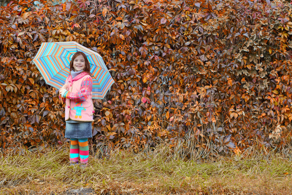 Feliz nina paraguas temporada de otoño nina forestales Foto stock © goce